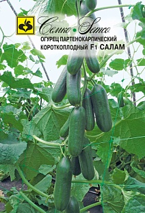 Огурец F1 Салам, 10 шт.