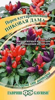 Перец острый кустарниковый Пиковая дама, 5 шт. Авторские семена.