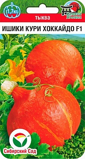 Тыква Ишики Кури Хоккайдо F1, 3 шт. Семена Японии. Сибирский сад