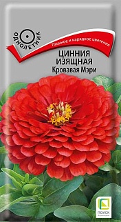 Цинния изящная Кровавая Мэри, 0,4 г
