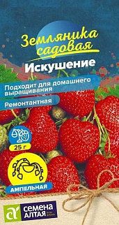 Земляника Искушение ремонтантная, 5 шт.  