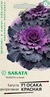 Капуста декоративная Осака красная F1, 7 шт. Саката.