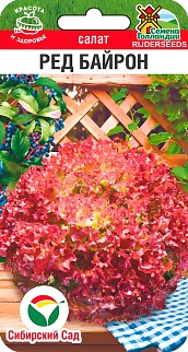 Салат Ред Байрон, 20 шт. Семена Голландии.