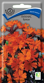 Лихнис Вулкан, 0,1 г