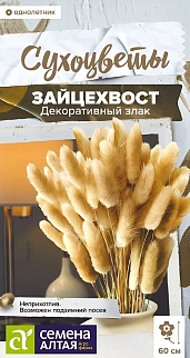 Зайцехвост злак декоративный, 0,1 г