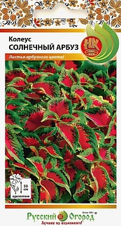 Колеус Солнечный Арбуз, 3 шт.  Русский огород