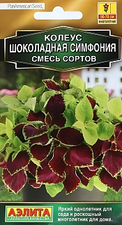 Колеус Шоколадная симфония, смесь, 3 шт.