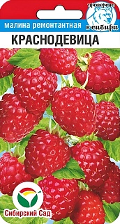 Малина Краснодевица, 10 шт.