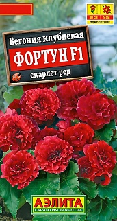 Бегония клубневая Фортун F1 скарлет ред, 5 шт.