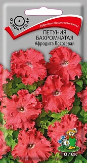 Петуния бахромчатая Афродита лососевая, 10 шт.