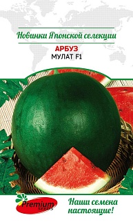Арбуз Мулат F1, 4 шт. Японская селекция