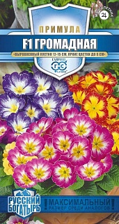 Примула обыкновенная грунтовая Громадная F1 смесь, 5 шт. Русский богатырь. 