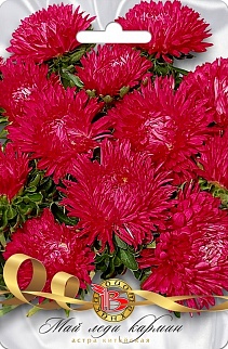 Астра китайская Май Леди Кармин, 30 шт. Биотехника