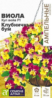 Виола Кул Вейв Клубничный бум F1, ампельная, 3 шт. Ампельные Шедевры