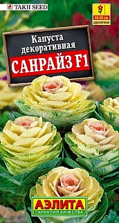 Капуста декоративная Санрайз F1, 6 шт.