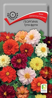 Георгина низкорослая Тутти-фрутти, 0,1 г