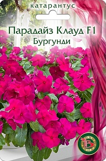 Катарантус Парадайс Клаут F1 Бургунди, 5 шт.