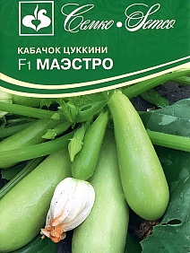 Кабачок цуккини Маэстро F1, 10 шт. Семко.