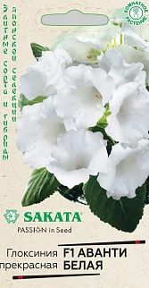 Глоксиния Аванти белая F1, 5 шт. Гранулы. Саката.