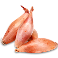 Лук шалот
