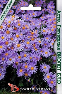 Астра голубоватая Виолет Блю, 30 шт. Биотехника