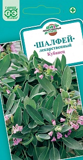 Шалфей Кубанец, 0,3 г. Лекарственная.