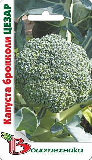 Капуста брокколи Цезар, 0,3 г. Биотехника.