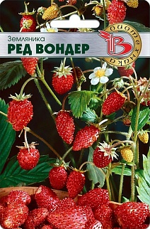 Земляника Ред Вондер, 60 шт. Биотехника