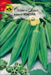 Бамия Юнона, 1 г