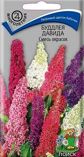 Буддлея Давида смесь окрасок, 10 шт.