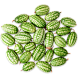 Мелотрия