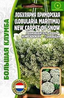 Алиссум (лобулярия) приморская New Carpet of Snow, 500 шт.