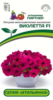 Петуния "Итальянка" Виолетта F1, каскадная, 5 шт. 