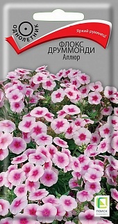 Флокс друммонди Аллюр, 0,1 г