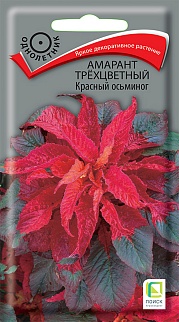 Амарант трёхцветный Красный осминог, 0,1 г