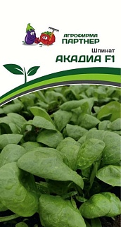 Шпинат Акадиа F1, 2 г. Агрофирма Партнер.