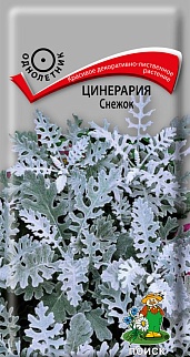 Цинерария Снежок, 0,01 г