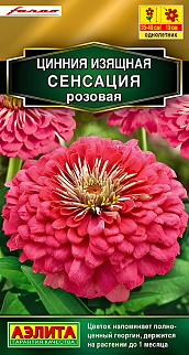 Цинния Сенсация розовая, 12 шт.