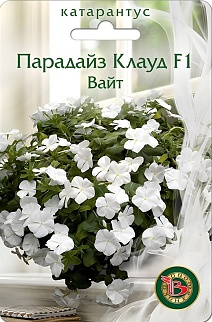 Катарантус Парадайс Клаут F1 Вайт, 5 шт.