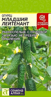 Огурец Младший Лейтенант F1, 5 шт. 