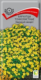 Бархатцы тонколистные Лимонный самоцвет, 0,1 г
