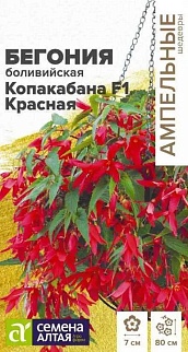 Бегония Копакабана F1 Красная боливийская, 5 шт. Ампельные шедевры