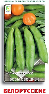 Бобы овощные Белорусские, 7 шт.