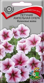 Петуния ампельная Опера Малиновые жилки, 5 шт.