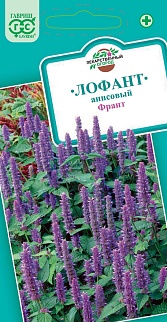 Лофант Франт, 0,3 г. Лекарственная.