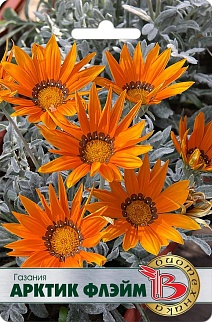 Газания Арктик Флейм, 7 шт. Биотехника