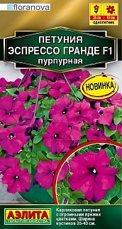 Петуния Эспрессо Гранде F1 крупноцветковая пурпурная, 7 шт.