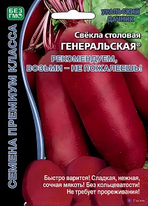 Свекла столовая Генеральская, 2 г