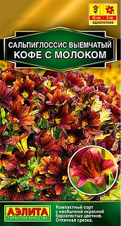 Сальпиглоссис Кофе с молоком, 7 шт.