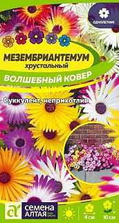 Мезембриантемум Волшебный ковер, 0,1 г